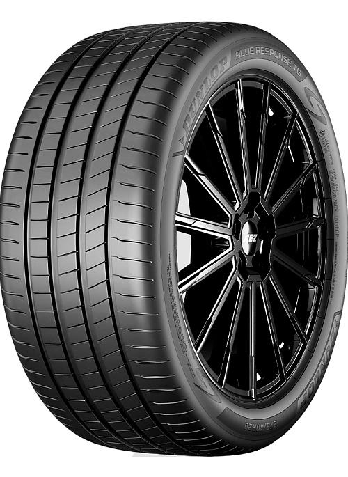 Dunlop Blue Response TG