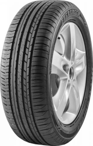 Evergreen Dynacomfort EH226