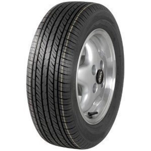 Fortuna G520
