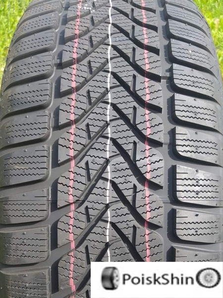 Lassa Competus Winter 2